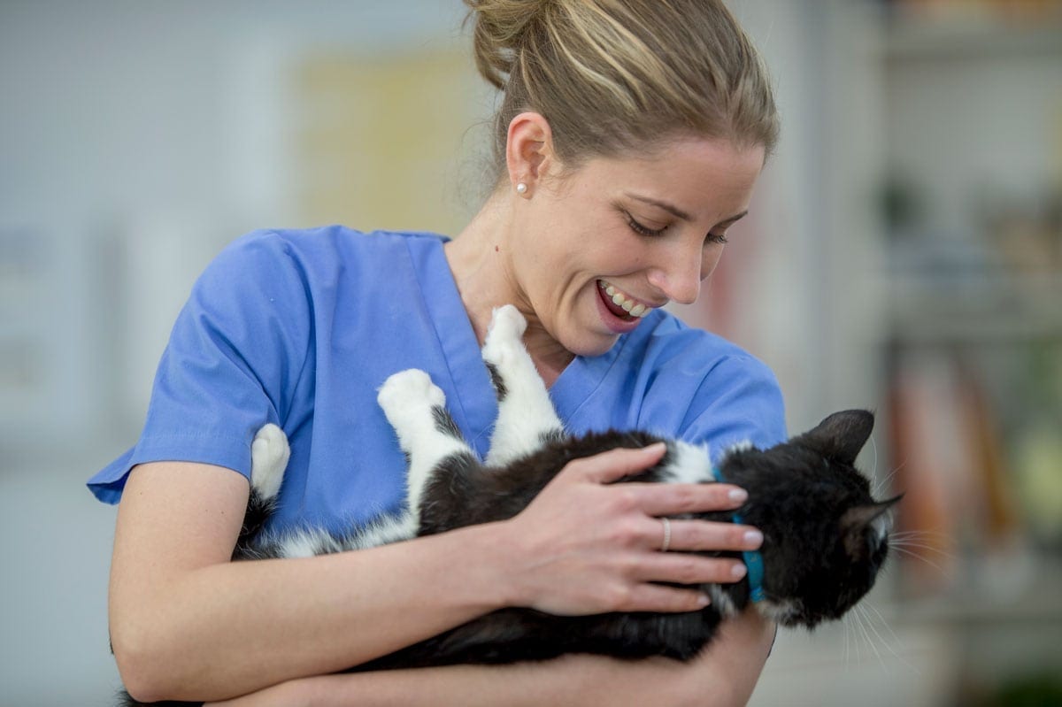 Leadership Courses for Veterinary Practices - VetLead