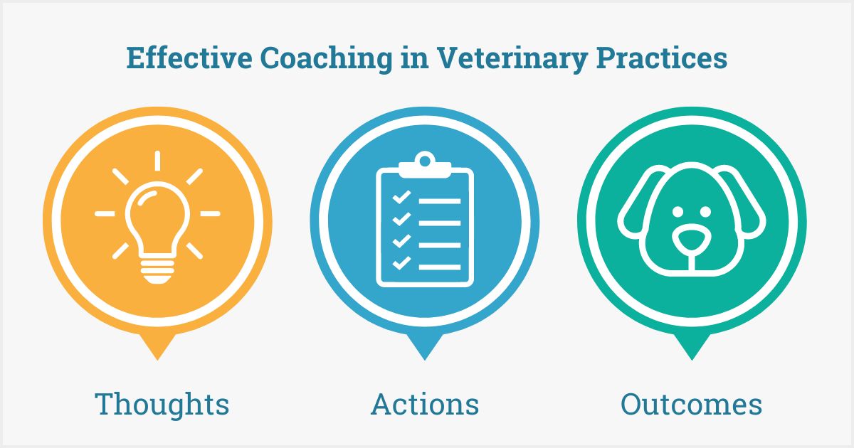 Effective Coaching in Veterinary Practices