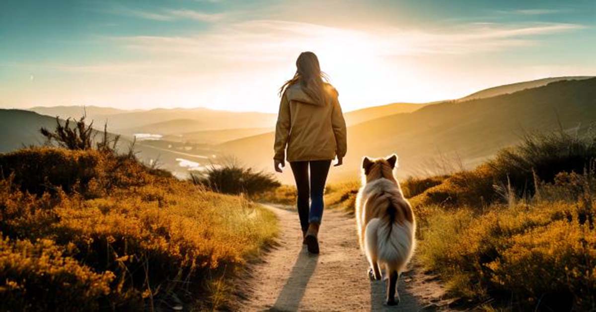 Build a Path to Veterinary Career Success