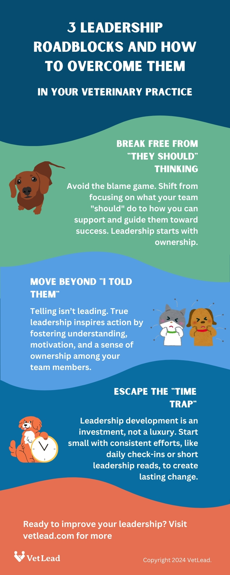 Infographic - 3 Veterinary Leadership Roadblocks - VetLead