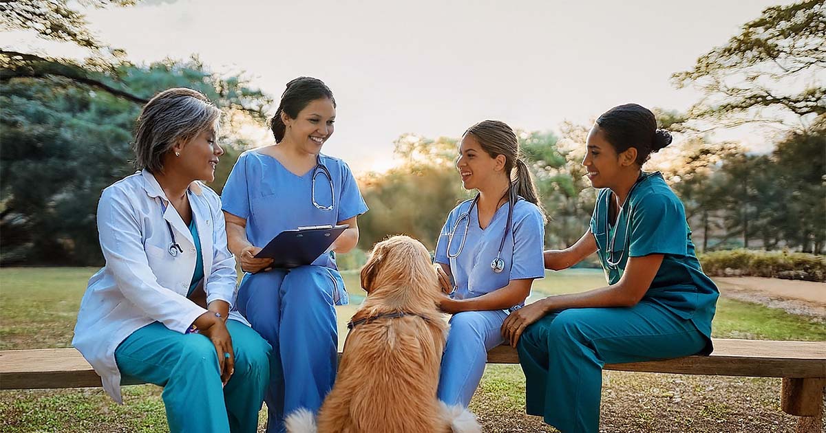 Use feedback to empower your veterinary team