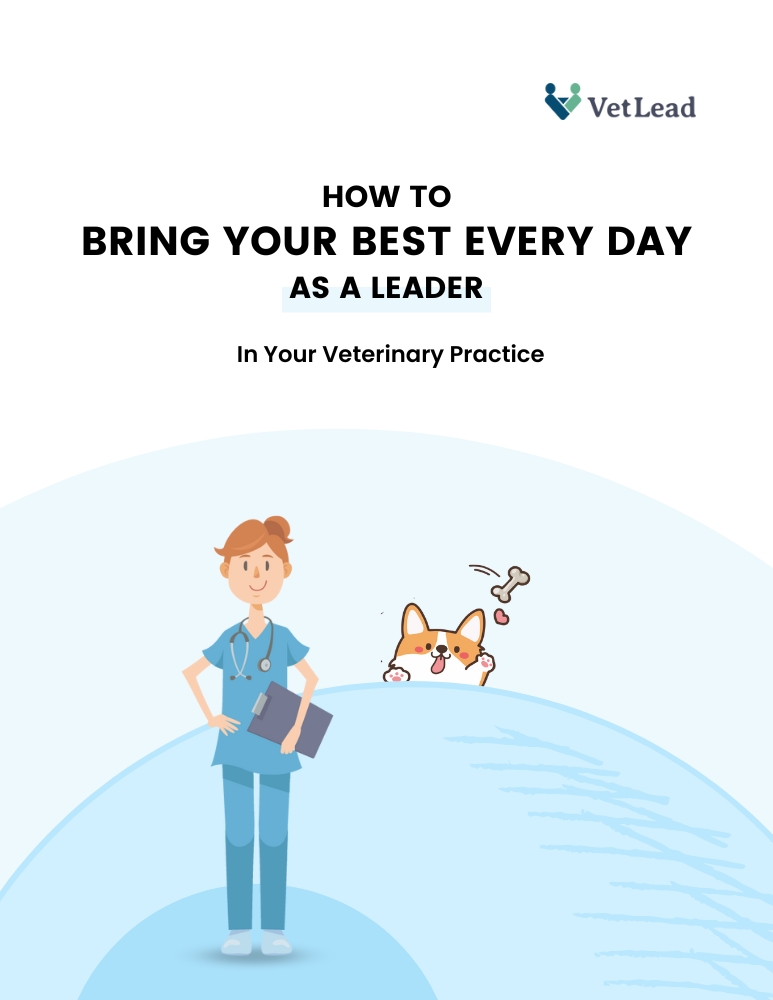 Bring Your Best Every Day - VetLead PDF Download