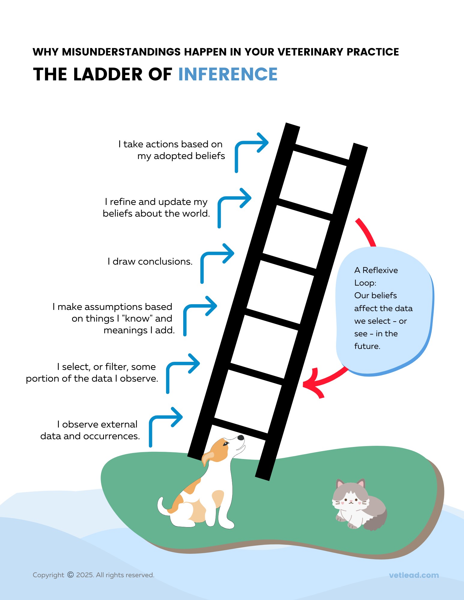 Ladder-of-Inference-Veterinary